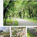 더 포레스트 이미지