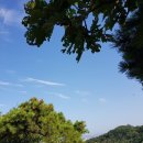 미성문화원