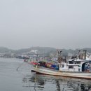 죽변수산 Daum카페