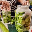 늘푸른 농장 이미지