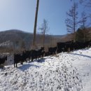 소태정농장 이미지