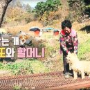 씻고올개 이미지