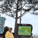 정지운선생묘 이미지