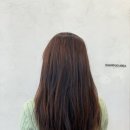 레나헤어 | 부청시청역미용실 리무드헤어 레나쌤 헤드스파 후기