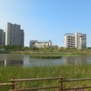 수학의아침원격학원