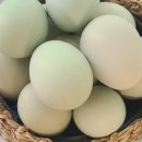 자연애농장 이미지