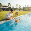 서울펫츠베이 | 강아지 수영장 후기 | 서울 근교 깨끗한 수질과 넓은 운동장, 후회 없는 선택 가이드!