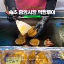 축협 뒤 공영주차장 | 속초 중앙시장 먹거리 리스트 술빵 닭강정 공영주차장 위치 꿀팁