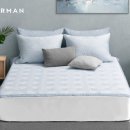 알레르망 이미지