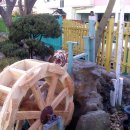 서대구초등학교 이미지