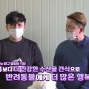 일상커머스 이미지