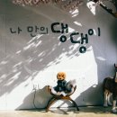 멍.슈슈 이미지