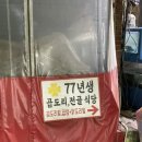 77 | 동대문역맛집 추천｜77년생 곱도리전골 동대문점 솔직 후기