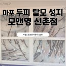 성지카인테리어 | [가보니] 신촌 탈모 성지_가려움 관리 두피케어 모앤영 신촌점