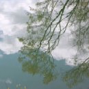 호수에 담다 이미지