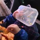 키튼드림센터수영장 이미지