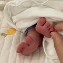 율촌반점 | 시즌투 두번째 먹는일상 포토덤프챌린지 여름아 제발 가주라 좀!