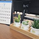 아라상담연구소