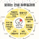 성지유치원 이미지