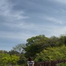 예래작은숲 이미지