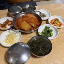 세광카센타 | 나비보벳따우