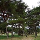 운봉읍 삼산마을 이미지