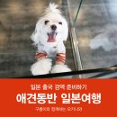 로잔동물병원 앞 이미지