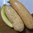 늙은 마디호박에 행복을 담다^^ 이미지