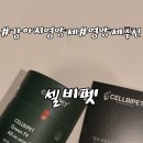 그린동물병원 | 셀비펫 그린핏 올인원밸러스 강아지 종합 영양제 후기｜요즘 우리집 필수템