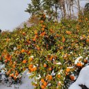 리나농장 이미지