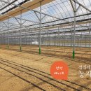 안정농업 자재센터 | [광고]점적테이프·비료·시설자재까지, 현 정부 농자재 정책 지원 최신 정보