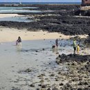 RNR | 제주 협재 해수욕장 맛집 2곳 l 수선화식당 본점, rnr 후기, 가격, 주차정보 총정리