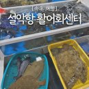 석정호 | 속초 저렴한 횟집｜바다앞 '설악항회센터' 재재방문 - 22호 석정호 후기
