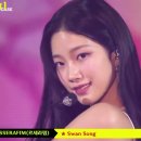 🍒[Stage-Mix] LE SSERAFIM(르세라핌) ★ Swan Song 이미지