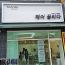 헤어끌리다