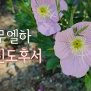 24. 9. 22(주일) 사무엘하 18장, 고린도후서 11장 이미지