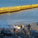 비토섬마린블루펜션 | 갯벌체험이 가능한 사천펜션 비토섬마린블루펜션 다녀오다!