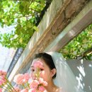 마음에 | 울산웨딩스튜디오 상담받은 후기! 마음에 드는 스튜디오 찾기