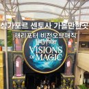 비전2로 | 싱가포르 해리포터 비전오브매직 티켓 예약 가는법 후기