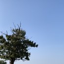 산성이용，비디오 | 안성 여행 가볼만한곳 추천 죽주산성 (뉴진스 ASAP 뮤직비디오 촬영지)