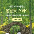 단단 스테이 이미지