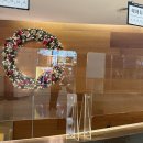 대구 콘서트 하우스 | 251123 정명훈 with 양인모, 지안 왕, 디미트리 무라스 대구콘서트하우스 후기