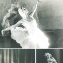 이사도라 이미지