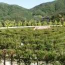 산청 동의보감촌 이미지