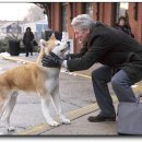 하치이야기 이미지