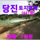 정미면보건지소 네이버블로그