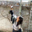 그린오아시스 이미지