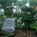 내린천 자연세상 이미지