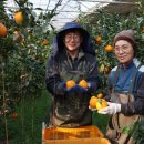 잉꼬농원 이미지