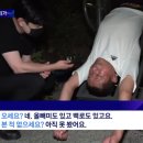 서울 도심에 너구리 출몰했을때 서울사람들 인터뷰 봤는데 다들 레전드임;; 이미지